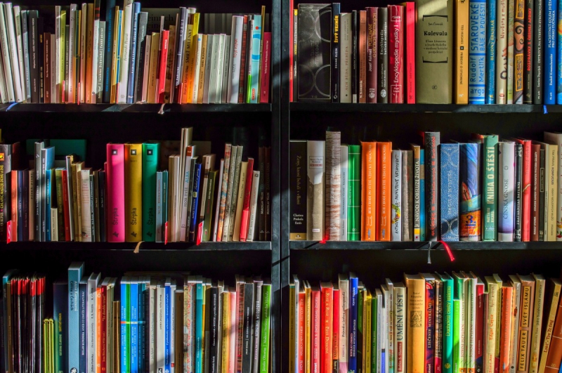 ecommerce-SEILLONS SOURCE D ARGENS-min_books_bookstore_book_reading_shop_writer_sale_books_read-822866
